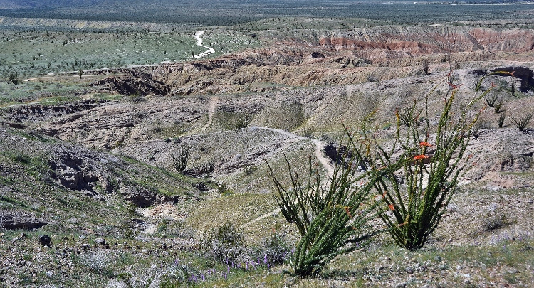 canyon overlook